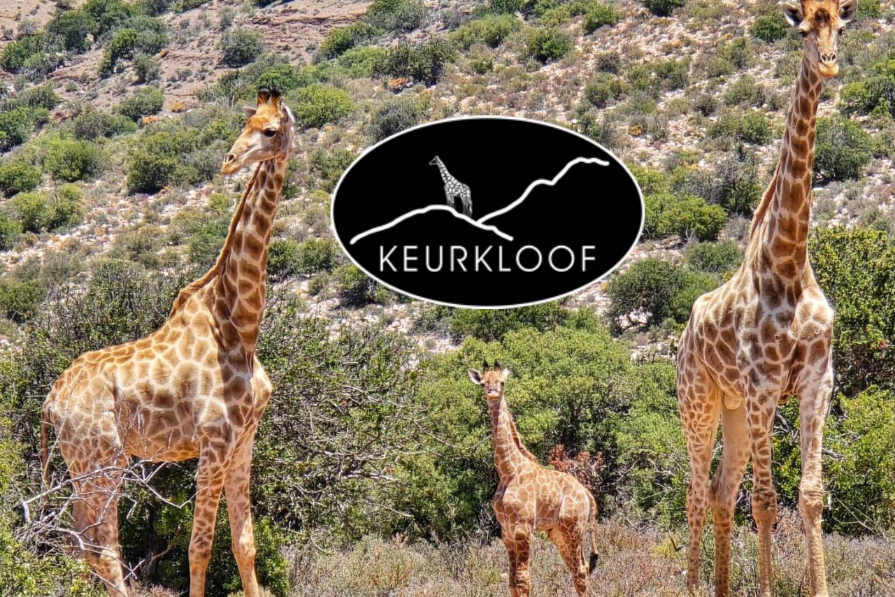 Farm Shop | Keurkloof Farm Villas