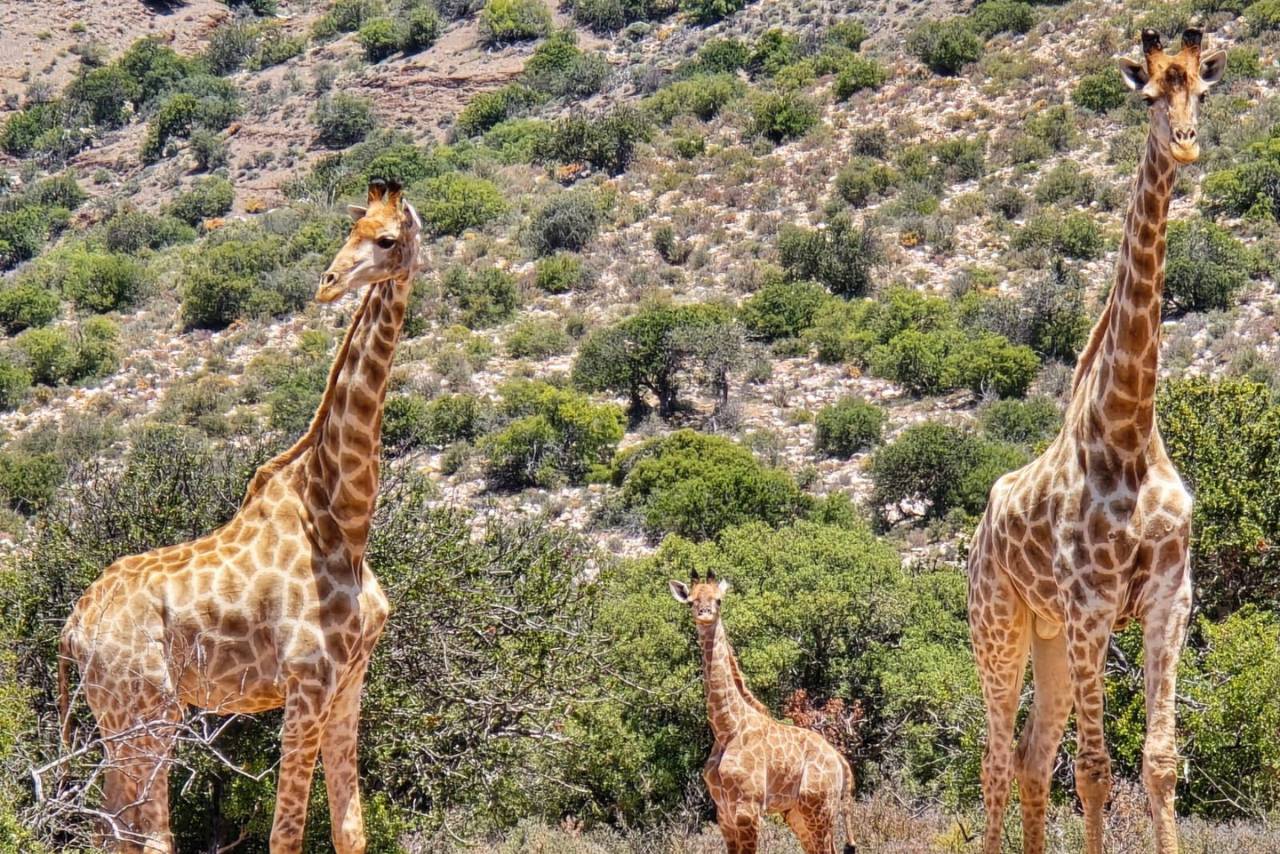 Location & Activities | Keurkloof Farm Villas