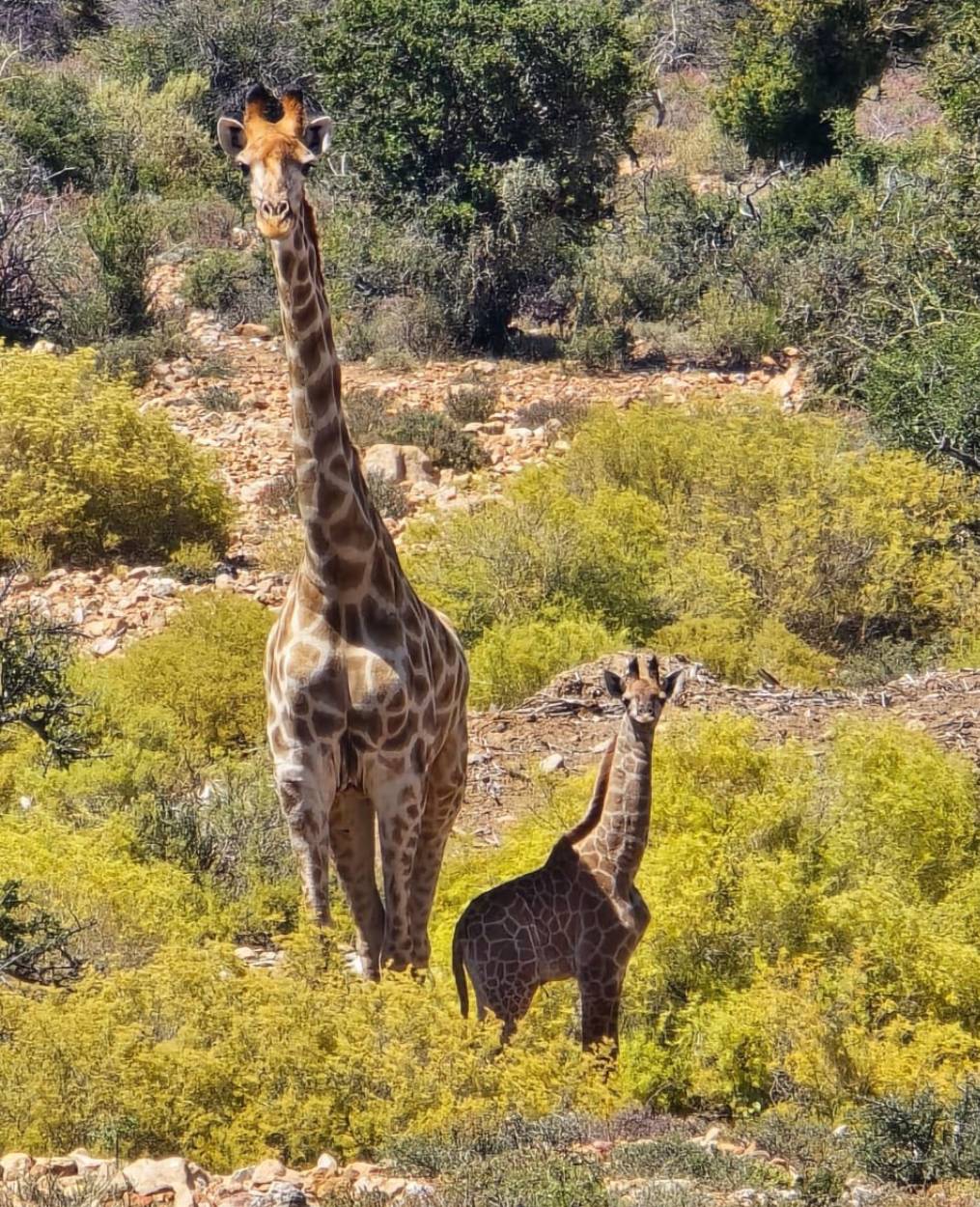 Accommodation | Keurkloof Farm Villas Route 62