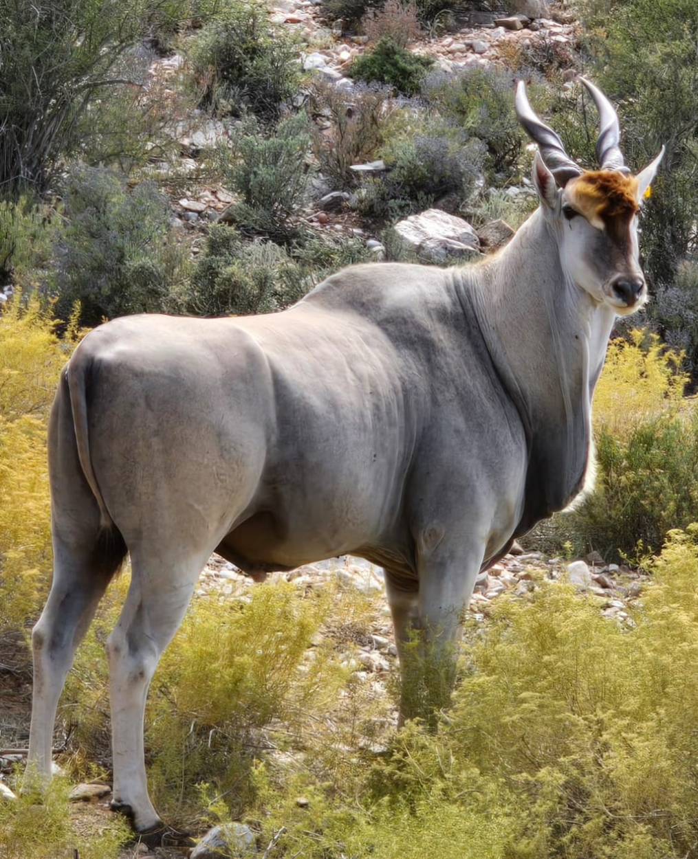 Keurkloof Farm Villas | Route 62 Farm Accommodation in the Klein Karoo